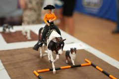 DSC01519-scaled