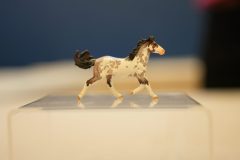 DSC01530-scaled