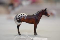 DSC01539-scaled