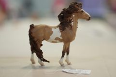 DSC01548-scaled
