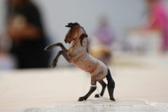 DSC01552-scaled