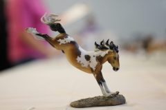 DSC01554-scaled