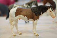 DSC01569-scaled