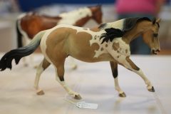 DSC01571-scaled