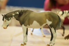 DSC01581-scaled