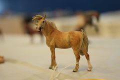 DSC01586-scaled