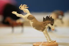 DSC01587-scaled