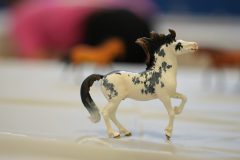 DSC01589-scaled