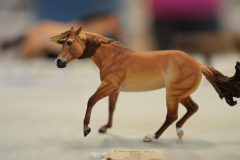 DSC01598-scaled