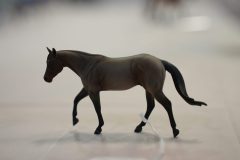 DSC01602-scaled