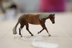 DSC01609-scaled
