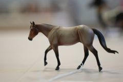 DSC01610-scaled