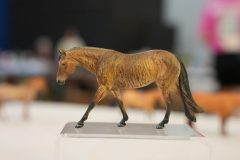 DSC01617-scaled