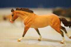 DSC01619-scaled