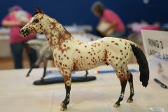 DSC01628-scaled