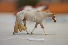 DSC01651-scaled