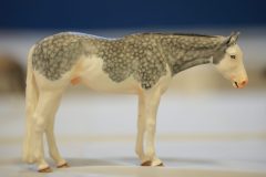DSC01654-scaled