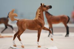 DSC00177-scaled