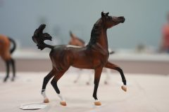 DSC00178-scaled