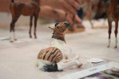 DSC00179-scaled