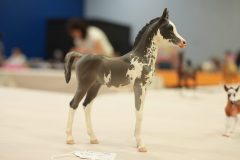 DSC00189-scaled