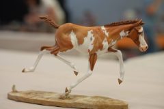DSC00190-scaled