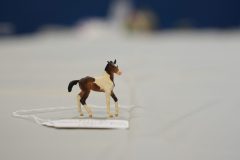 DSC00193-scaled