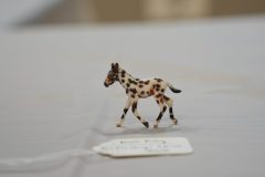 DSC00195-scaled