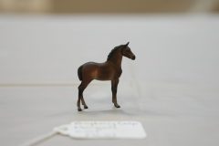 DSC00198-scaled