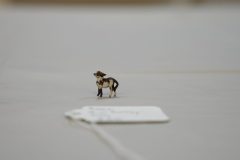 DSC00199-scaled