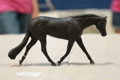 DSC00206-scaled