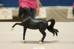 DSC00207-scaled