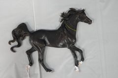 DSC00213-scaled