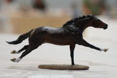 DSC00223-scaled