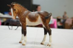 DSC00227-scaled