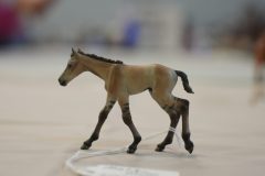 DSC00233-scaled