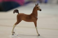 DSC00234-scaled