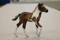 DSC00247-scaled