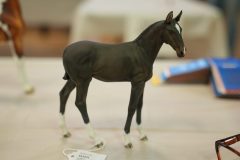 DSC00253-scaled