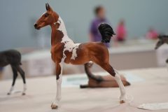 DSC00254-scaled