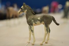 DSC00286-scaled