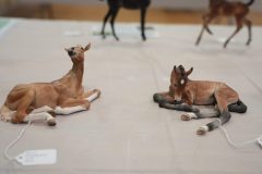 DSC00295-scaled