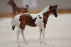 DSC00296-scaled