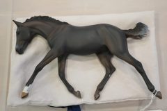 DSC00299-scaled