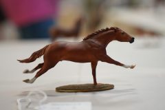 DSC00304-scaled