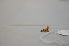 DSC00321-scaled