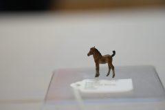 DSC00323-scaled