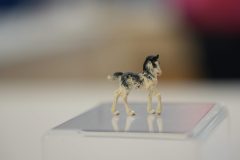 DSC00324-scaled