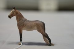 DSC00340-scaled