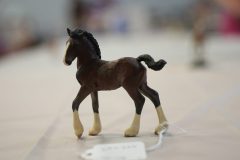 DSC00348-scaled